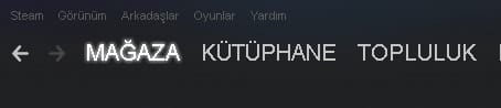 steam nedir nasil kullanilir