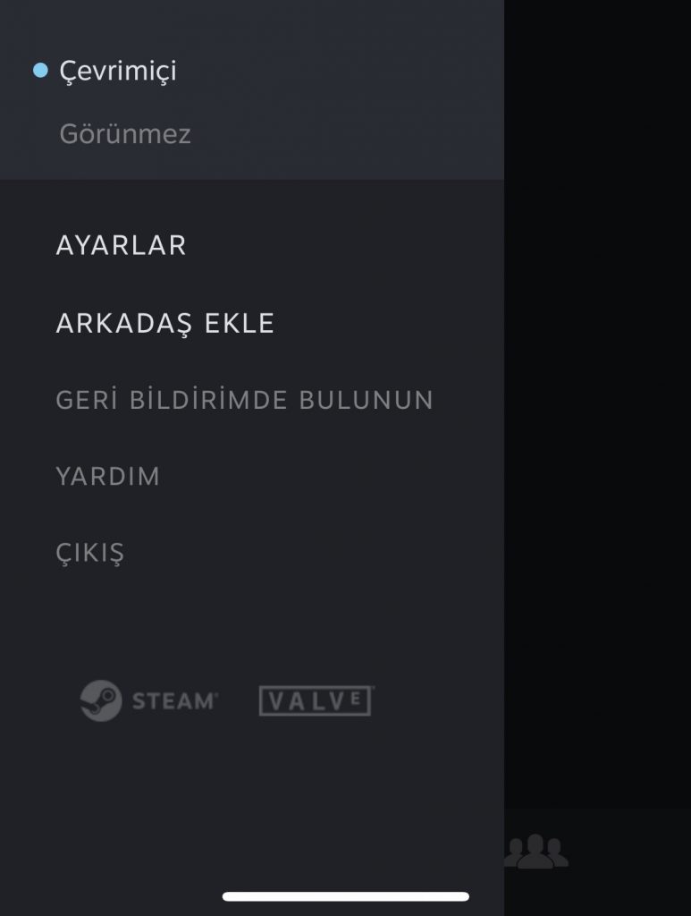 steam-chat-uygulamasi-nedir